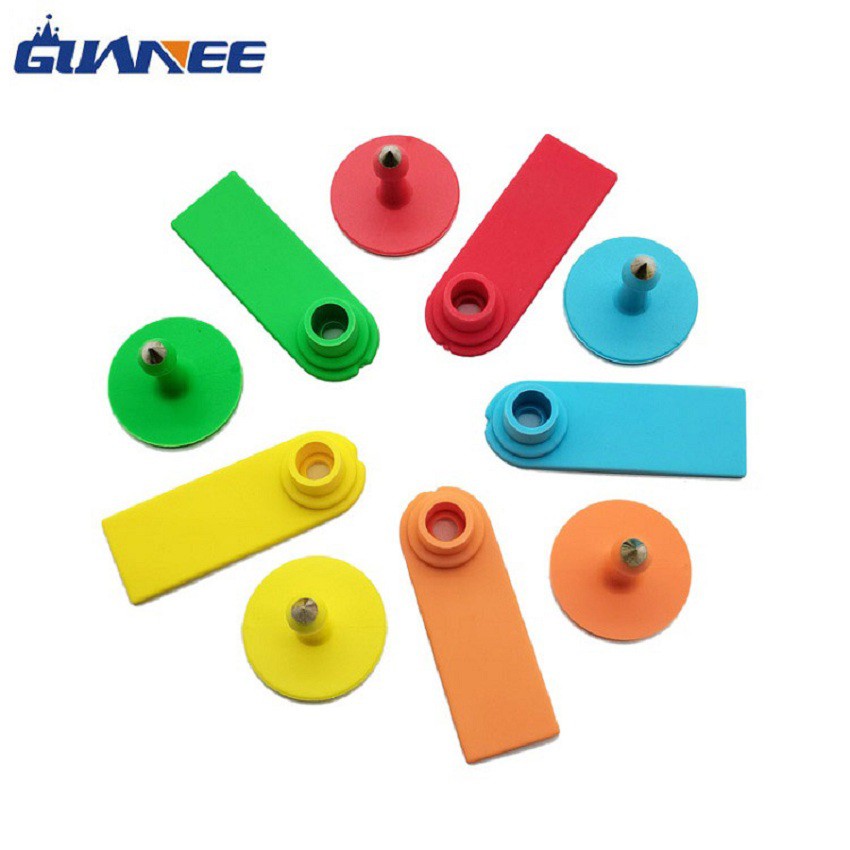 detail of goat ear tags detail of goat ear tags