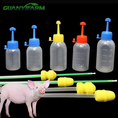 Catèter de semen amb punta d'escuma Sow Pig PE