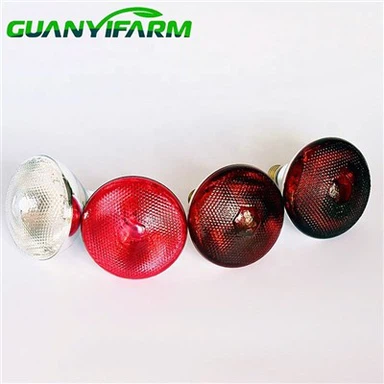 Llum de calefacció per infrarojos per a granja de pollets