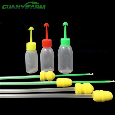 Ampolla d'esperma de porc