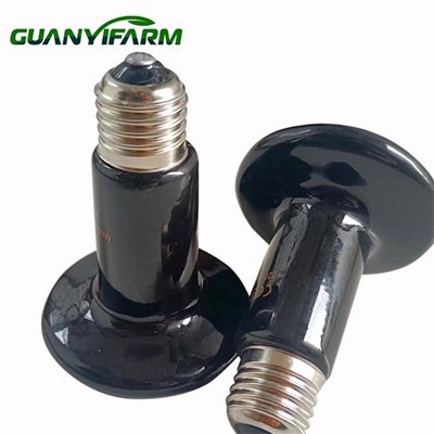 Bombeta de calor de rèptils