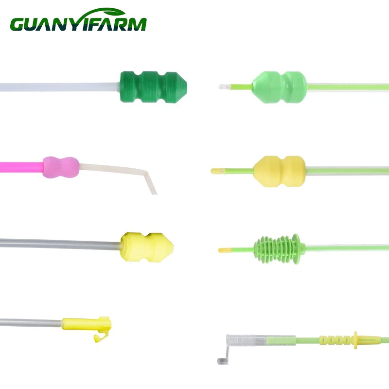 VAS VAS VAS DEFERENS